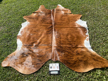 Load image into Gallery viewer, 01. Brindle white belly  Cowhide