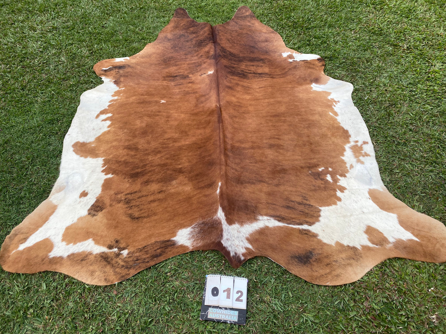 12. Salt pepper  Cowhide