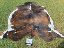 Load image into Gallery viewer, 97. Brindle white belly Cowhide