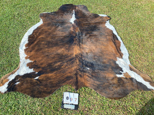 97. Brindle white belly Cowhide