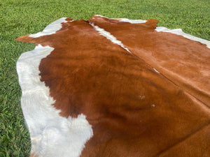 20.  Hereford Cowhide