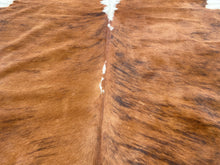 Load image into Gallery viewer, 10. Cowhide brindle white belly