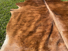 Load image into Gallery viewer, 22.  Brindle Cowhide