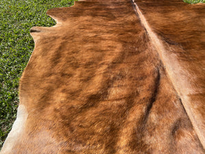 22.  Brindle Cowhide