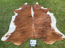 Load image into Gallery viewer, 10. Cowhide brindle white belly