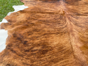 60. Brindle white belly Cowhide