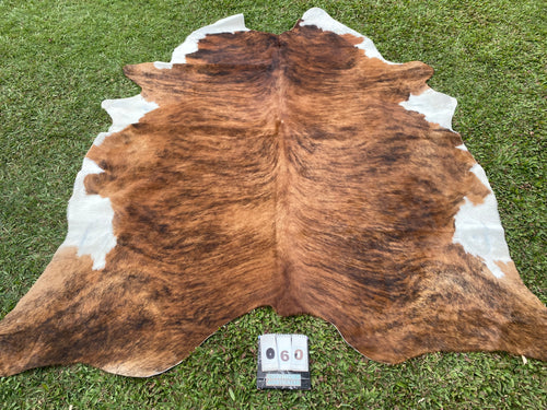 60. Brindle white belly Cowhide