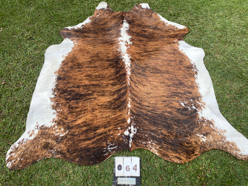 64. Brindle white belly Cowhide