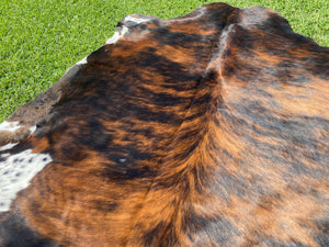 a107. Brindle speckled belly Cowhide