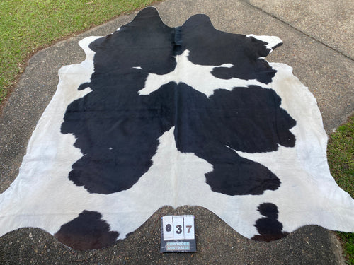 37. Cowhide Black and white