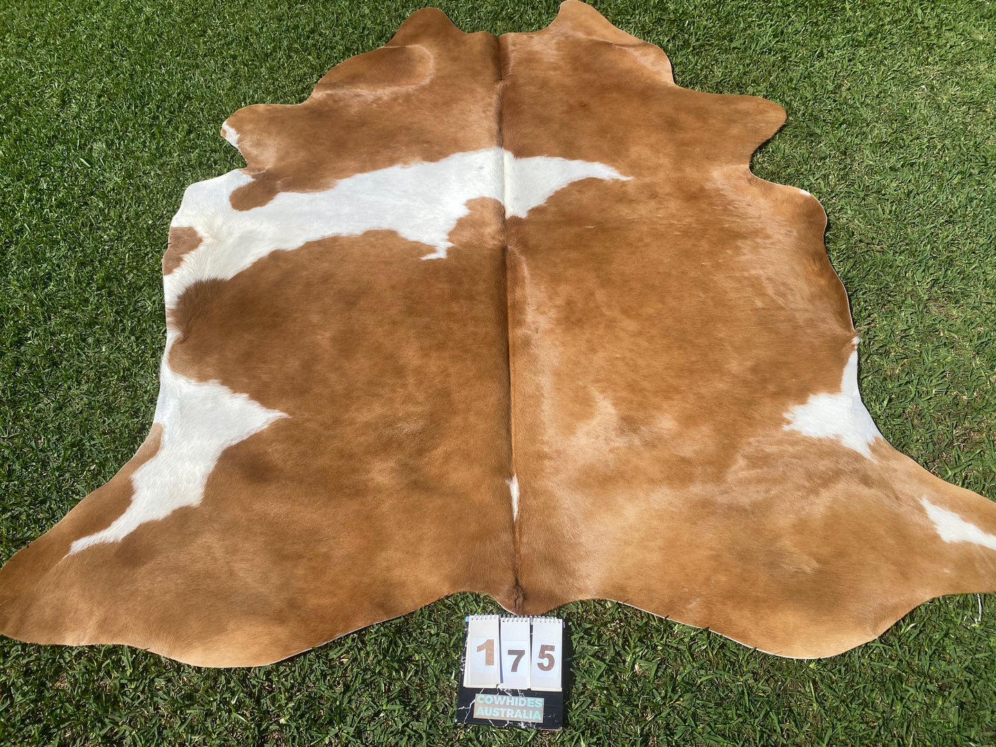 a175. Tan white Cowhide