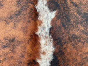 a112. Brindle and white Cowhide