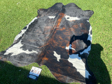 Load image into Gallery viewer, 05. Brindle white belly Cowhide