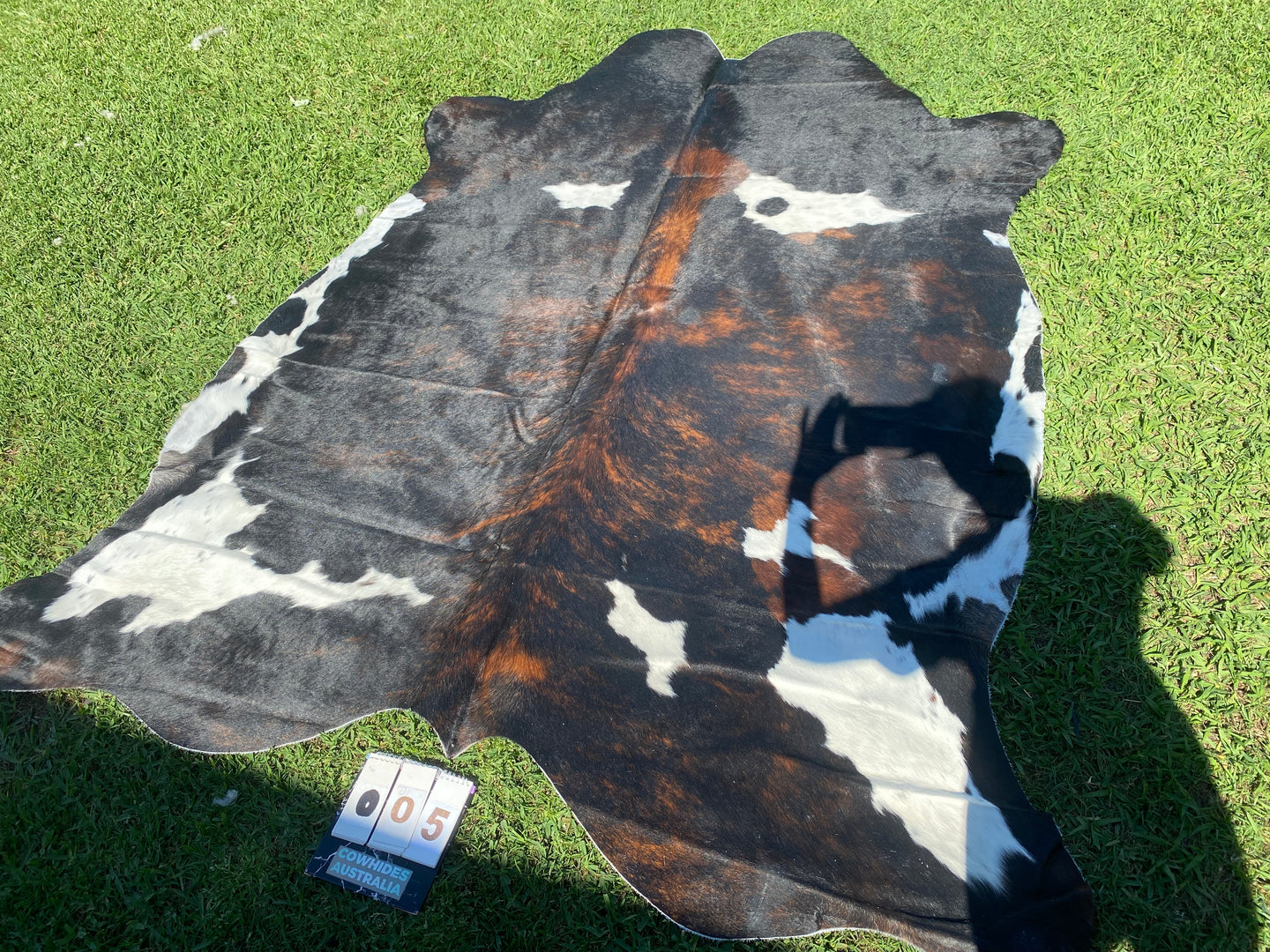 05. Brindle white belly Cowhide