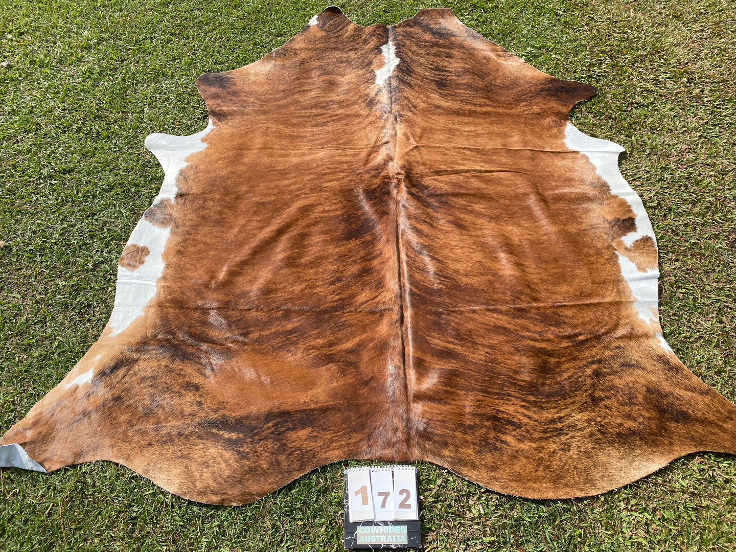 a172. Brindle white belly Cowhide