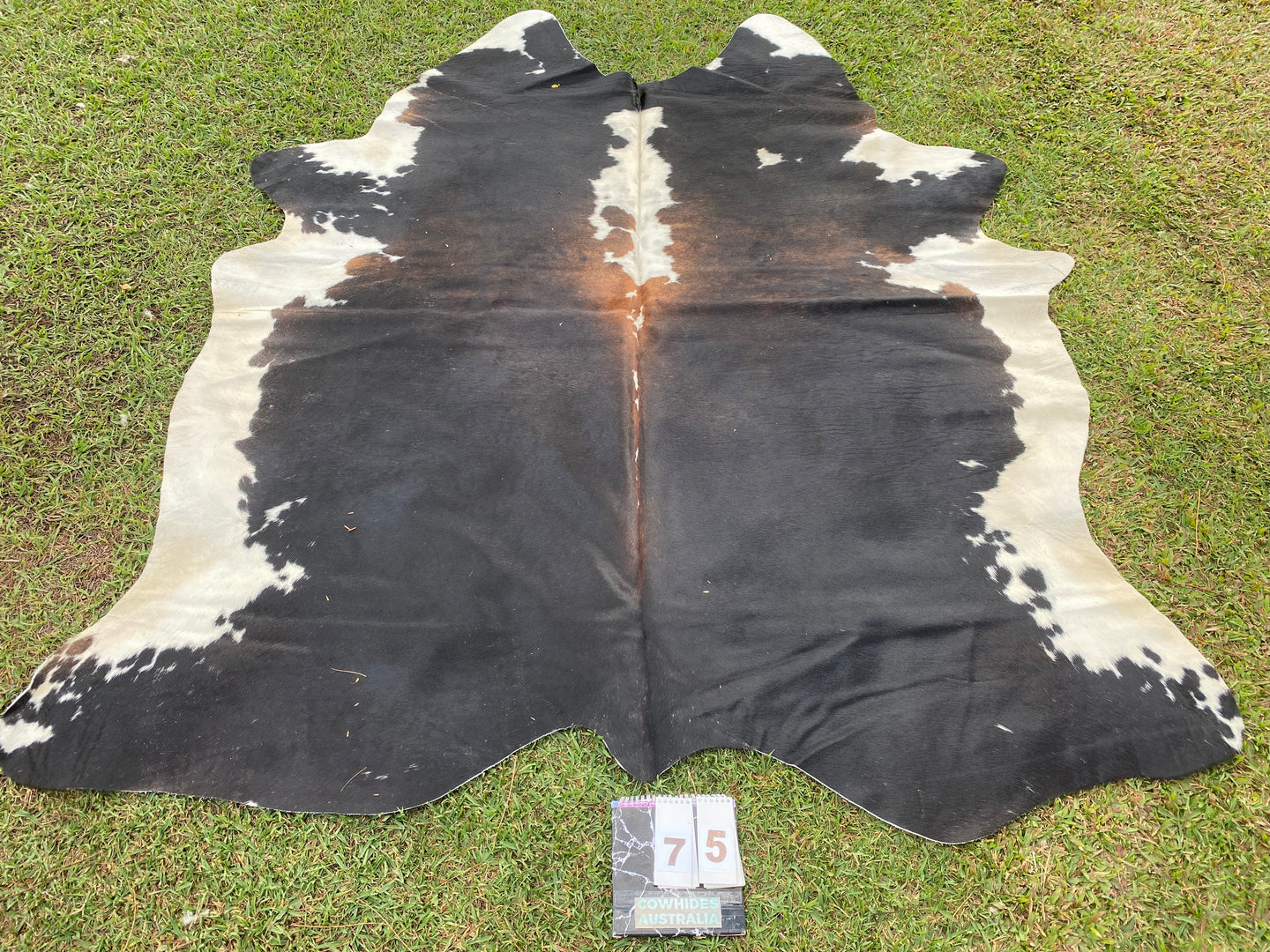 75. Black white little red Cowhide