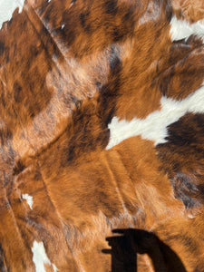 23. Brindle white belly Cowhide