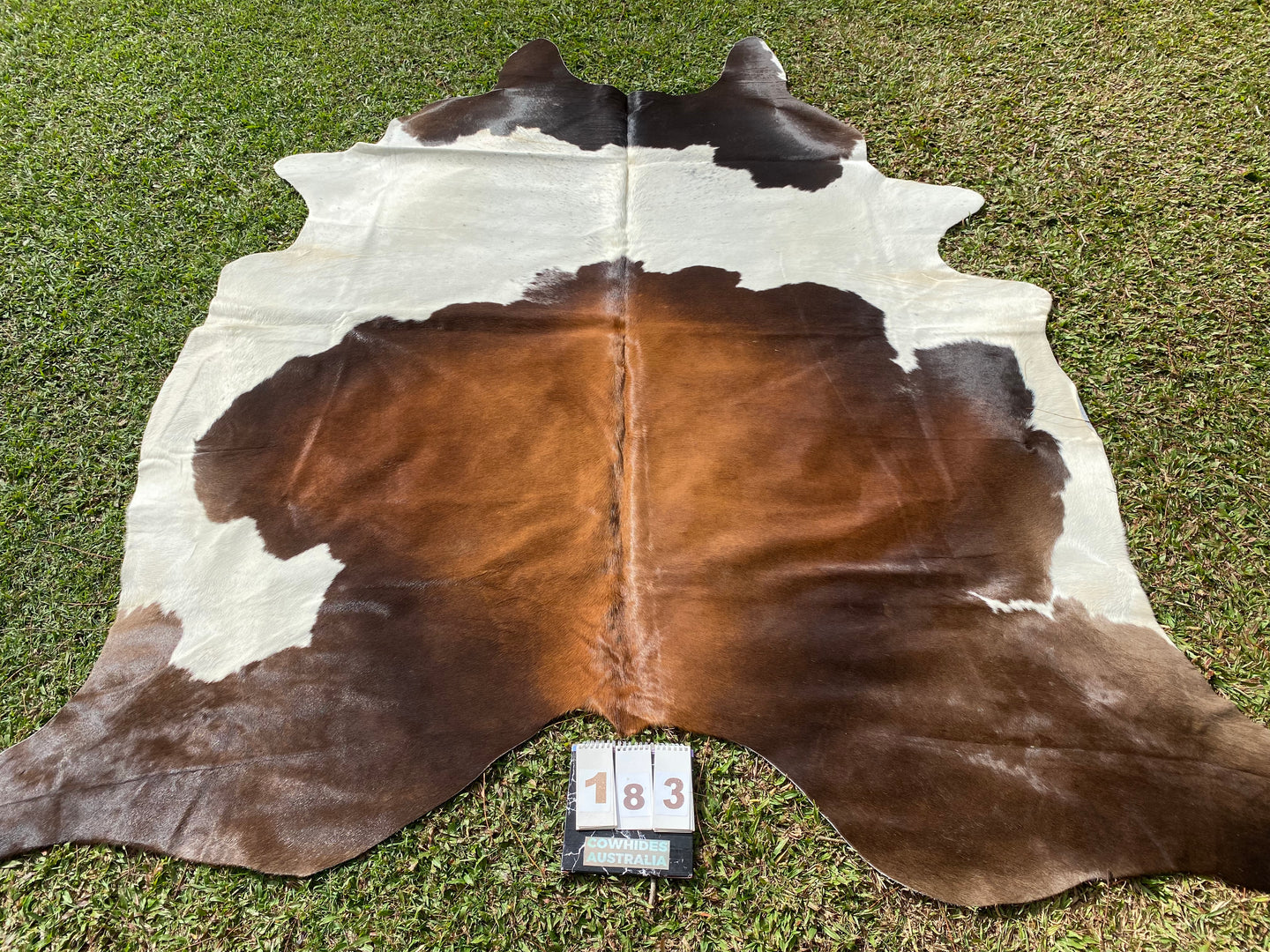 a183. Black white reddish Cowhide