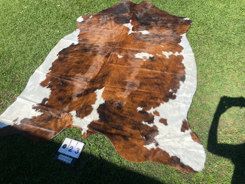 23. Brindle white belly Cowhide