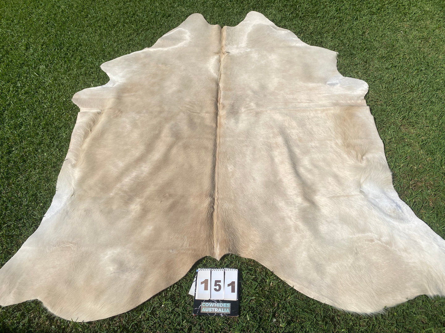 a151. Beige silky Cowhide