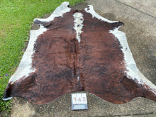 Load image into Gallery viewer, a145 Brindle and White Cowhide