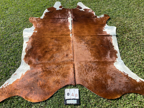 48. Brindle white belly  cowhide