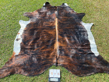 Load image into Gallery viewer, a176. Brindle Cowhide