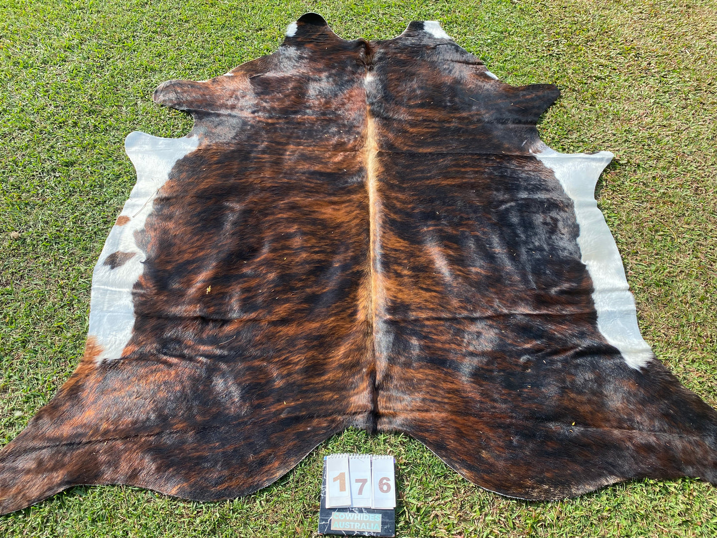 a176. Brindle Cowhide