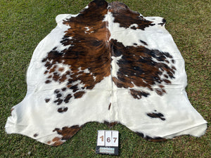 a167. Tri colour speckled Cowhide