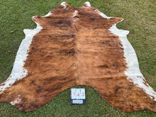 Load image into Gallery viewer, a143. Brindle white belly Cowhide