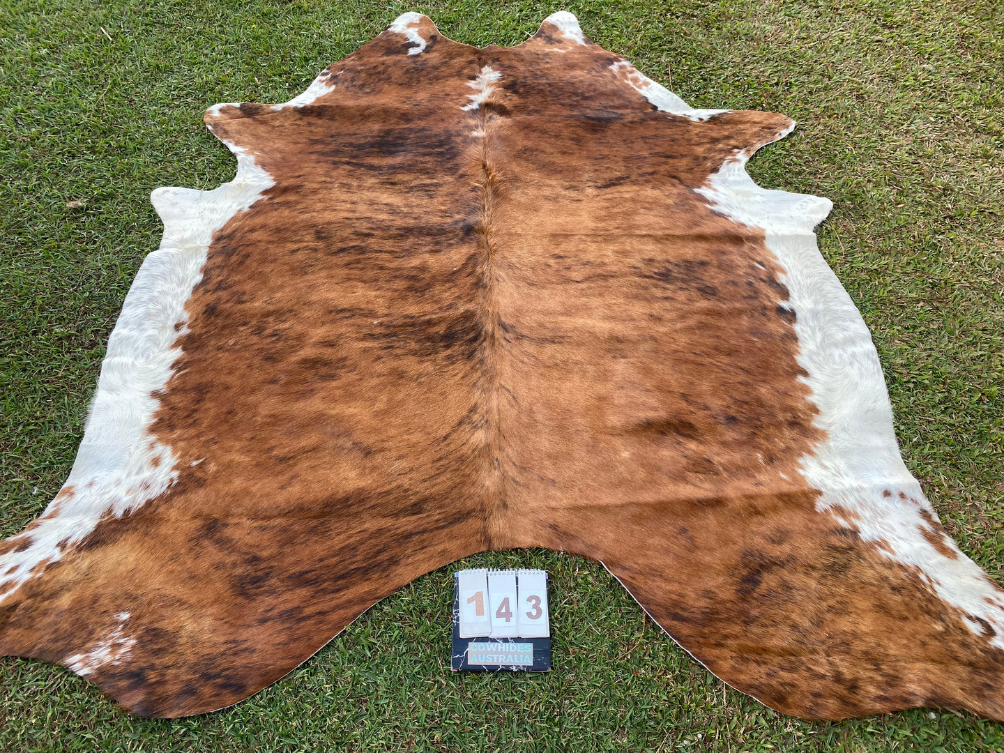 a143. Brindle white belly Cowhide