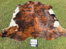 Load image into Gallery viewer, 29 brindle white belly Cowhide