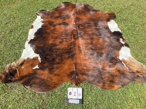 29 brindle white belly Cowhide