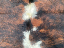 Load image into Gallery viewer, a116brindle and white Cowhide