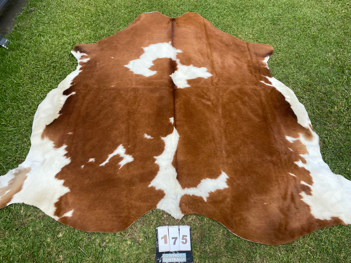 a175. Tan white Cowhide