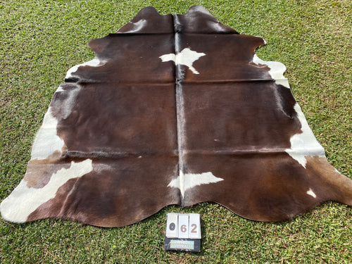 62. Chocolate brown and white Cowhide