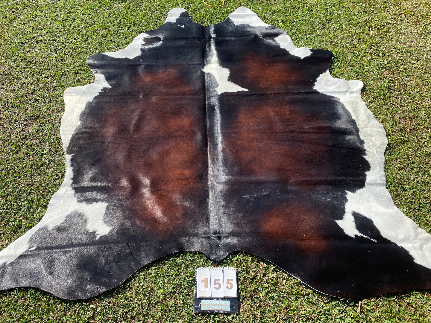 a155. Black white Reddish Cowhide