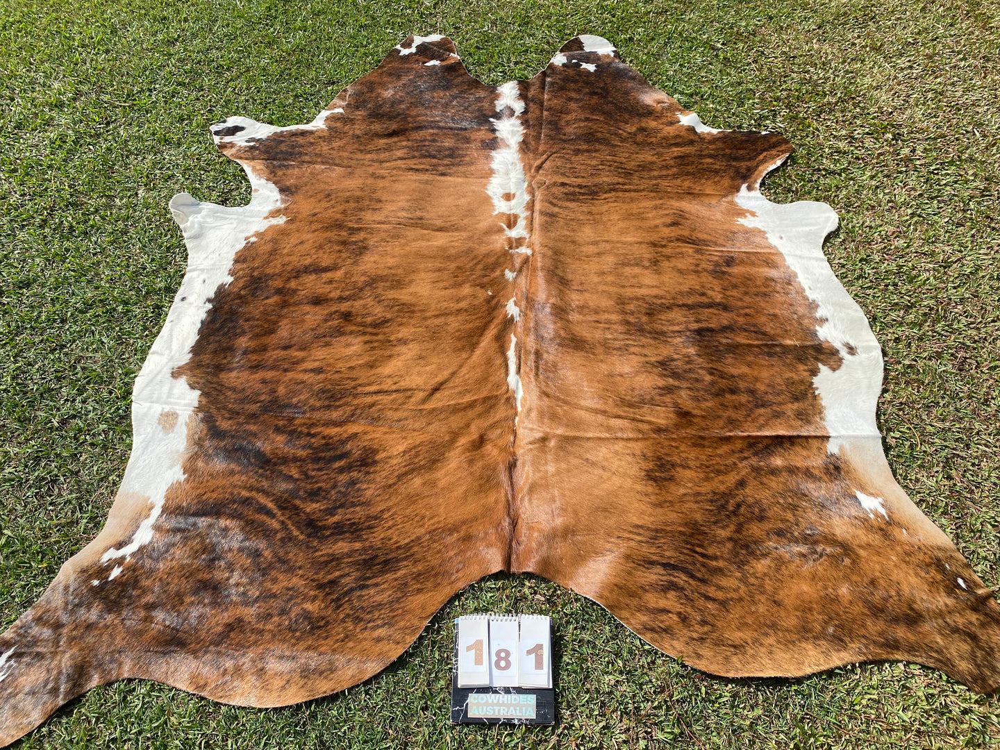 a181. Brindle white belly Cowhide