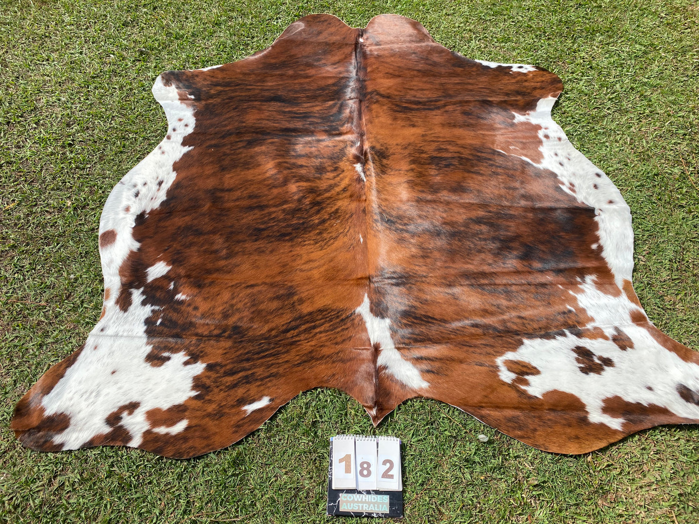 a182. Brindle white belly Cowhide