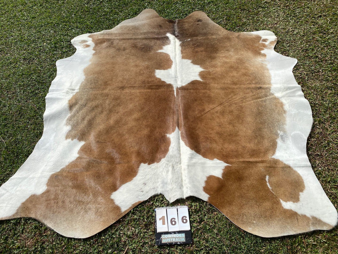 a166. Brown white Cowhide