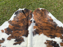 Load image into Gallery viewer, a177. Brindle white belly Cowhide