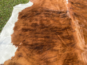 a140. Brindle white belly Cowhide