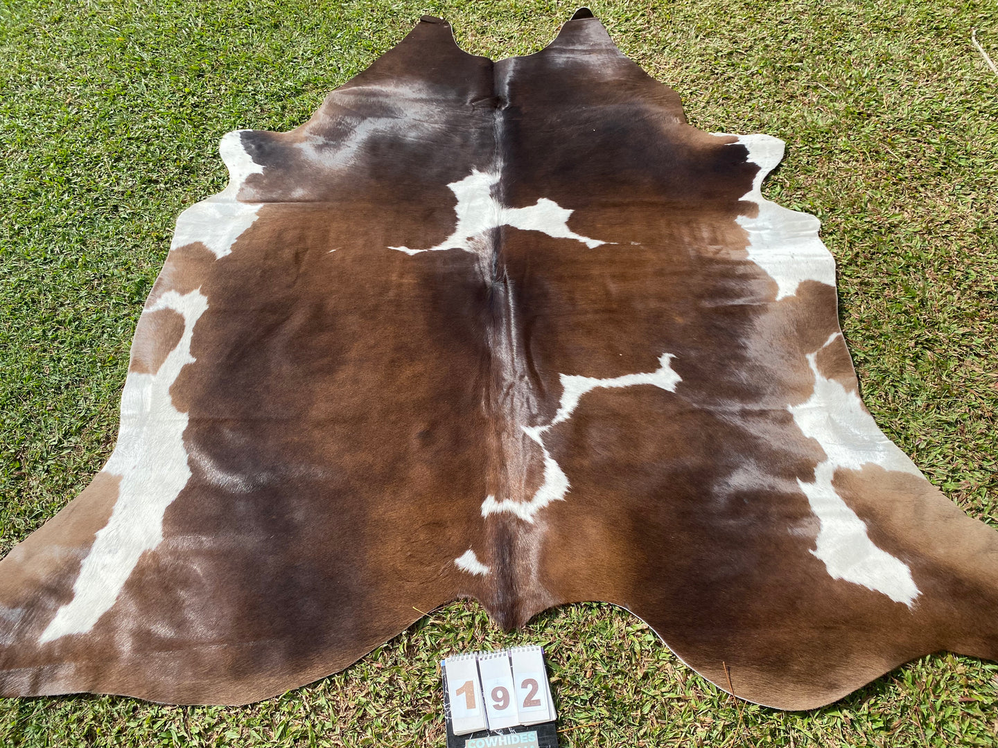 a192. Black white reddish Cowhide