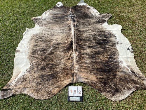 a152. Light colour brindle Cowhide