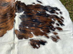 a167. Tri colour speckled Cowhide