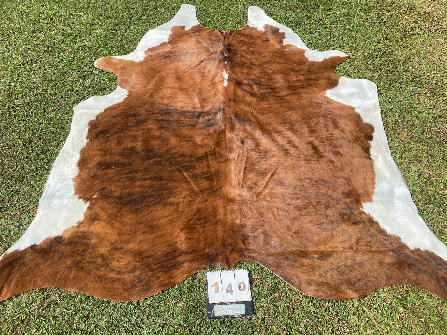 a140. Brindle white belly Cowhide