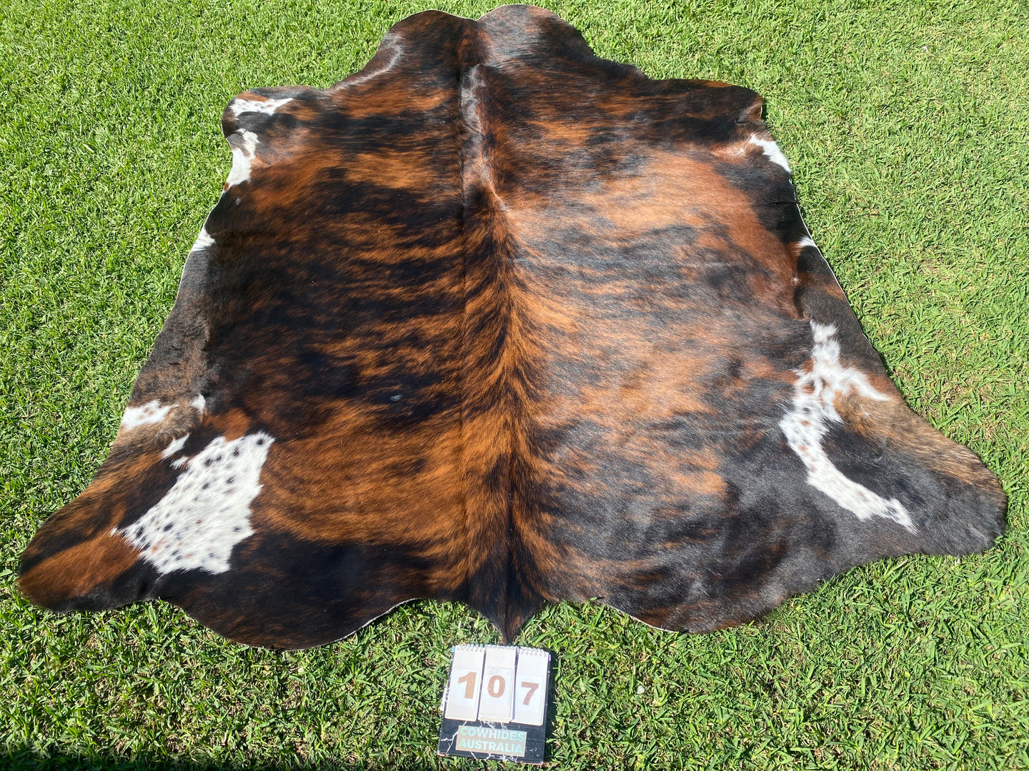 a107. Brindle speckled belly Cowhide