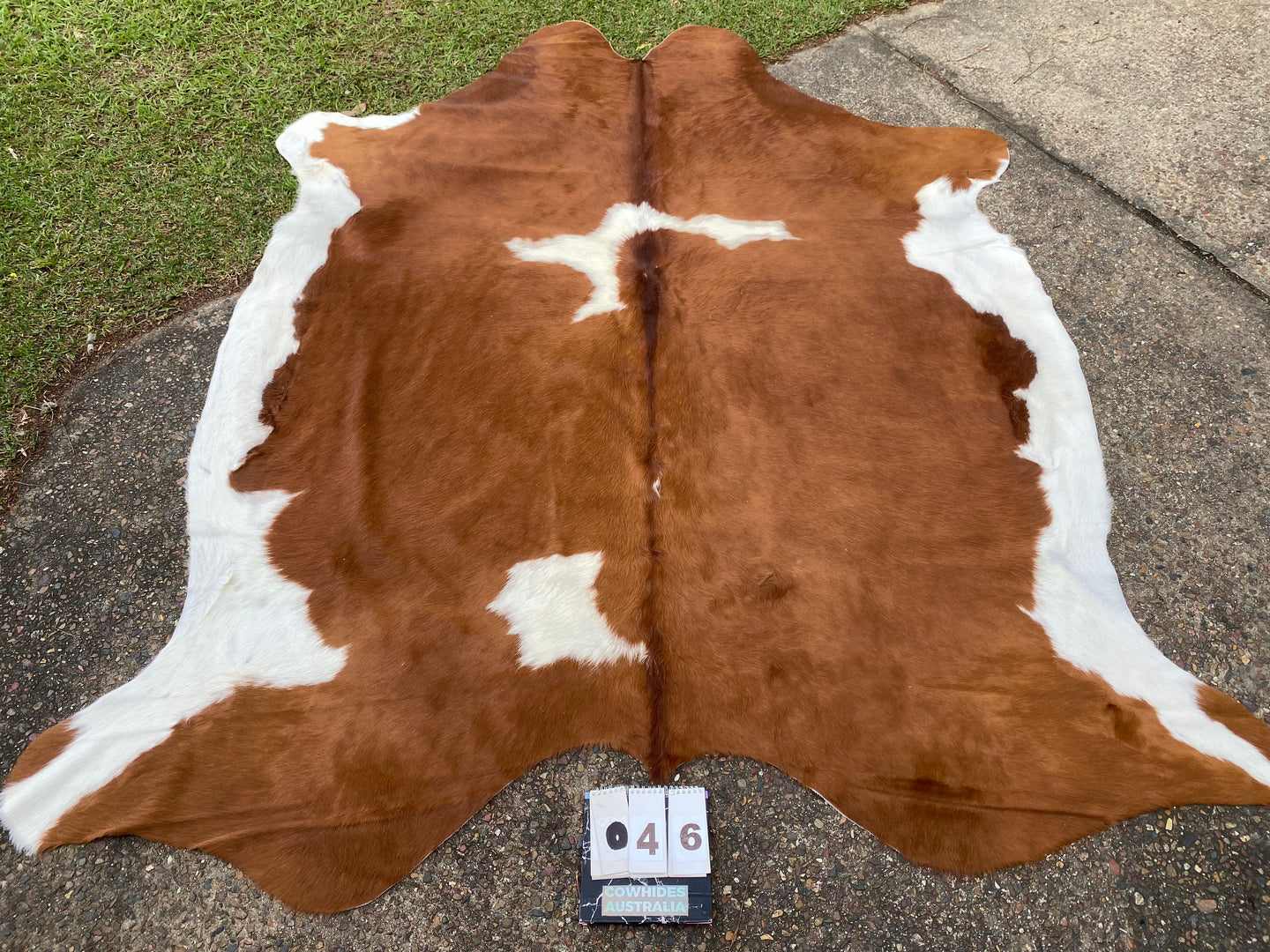 46. Brown White Cowhide