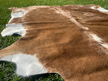 Load image into Gallery viewer, 32. Brown and white Cowhide