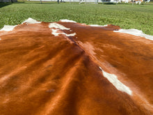 Load image into Gallery viewer, 33. Brown and white Cowhide